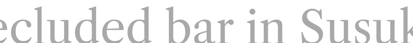 A secluded bar in Susukino